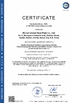 LA CHINE Wuhan Linmei Head Plate Co., Ltd. certifications